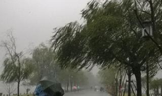 杭州西湖下雨天会有喷泉吗 杭州西湖被暴雨隐藏了